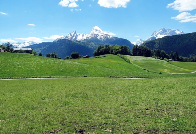 Bild 14
