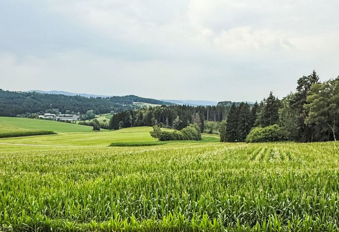 Hauptbild