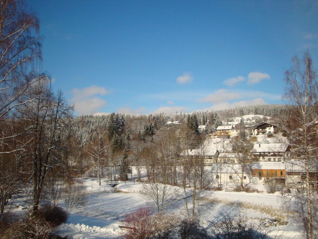 Wiesengrund in Bayerisch Eisenstein