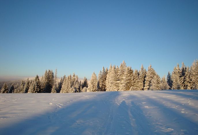 Bild 19
