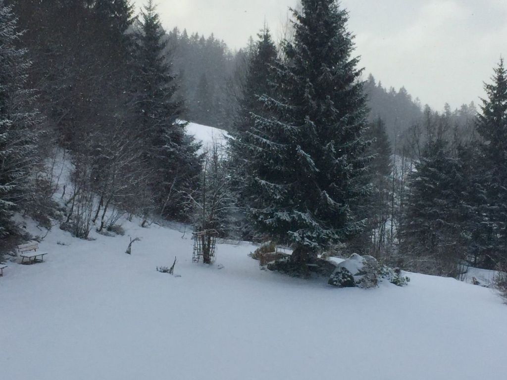 in Frauenberg mit Garten