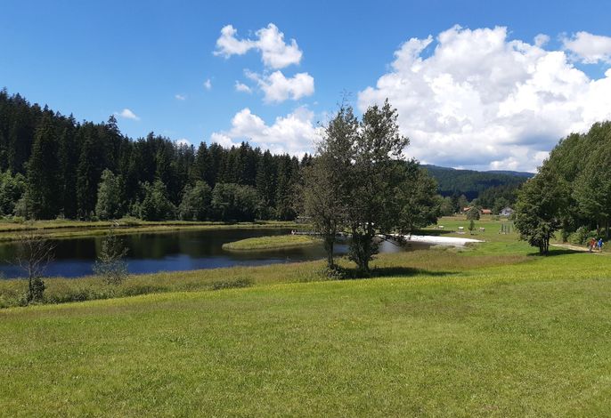 AnNo Wohlfühlplatzl – Foto 5