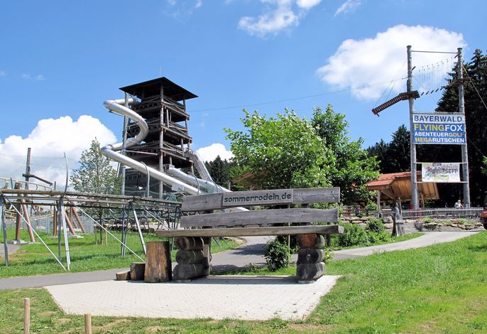 Bild 16