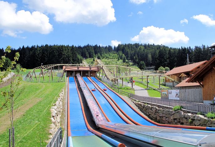 Bild 15