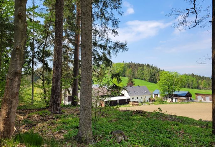 Bild 13