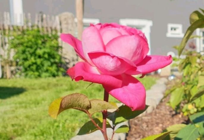 Bild 16