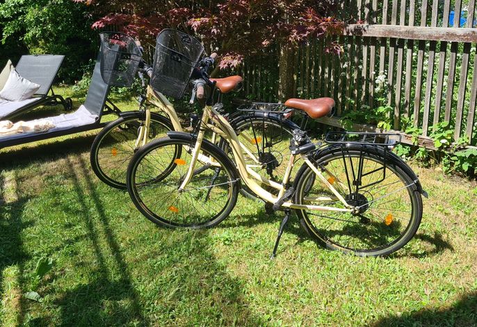 Bild 15