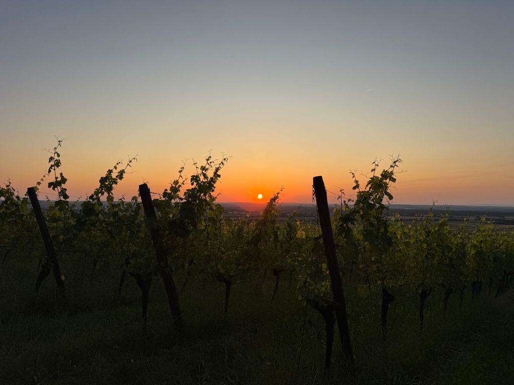 Panorama 180°