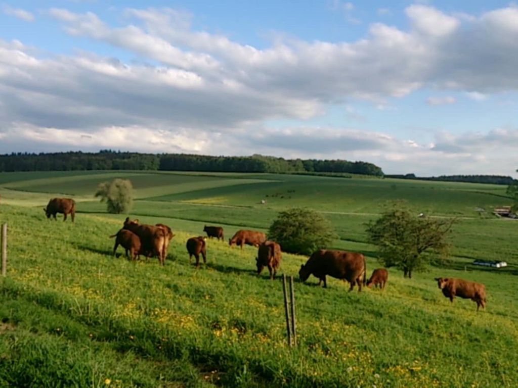 Schöne Ferienwohnung in Oberwaldbach