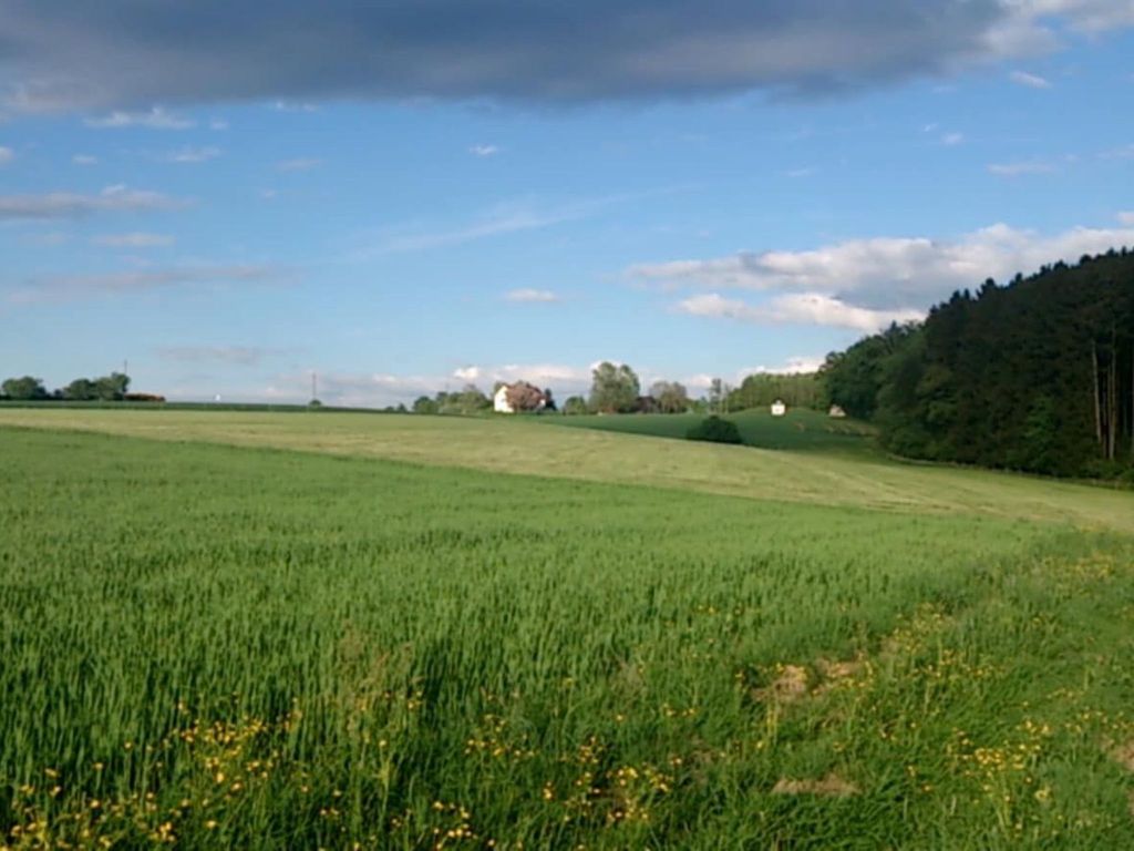 Spatzennest 86 qm