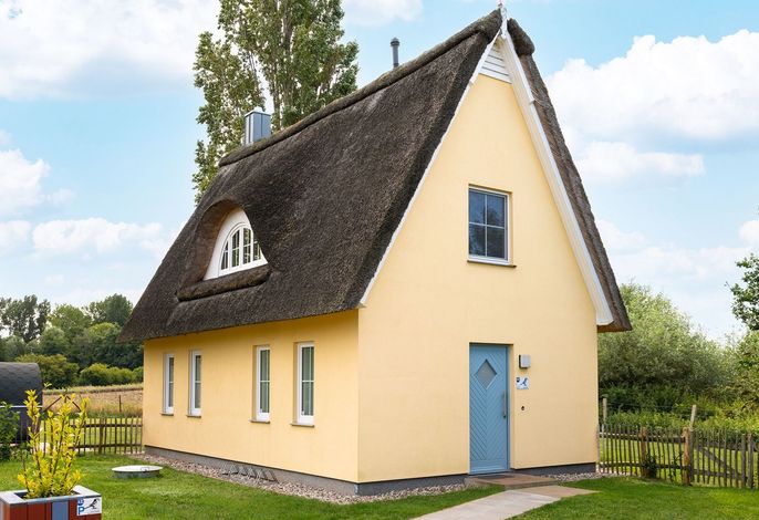 Reethaus Elster mit Whirlpool und Sauna – Foto 1