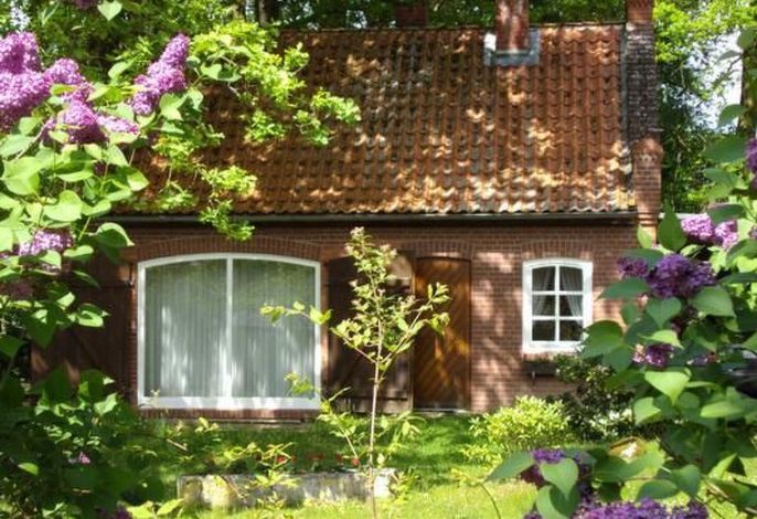 Hauptbild