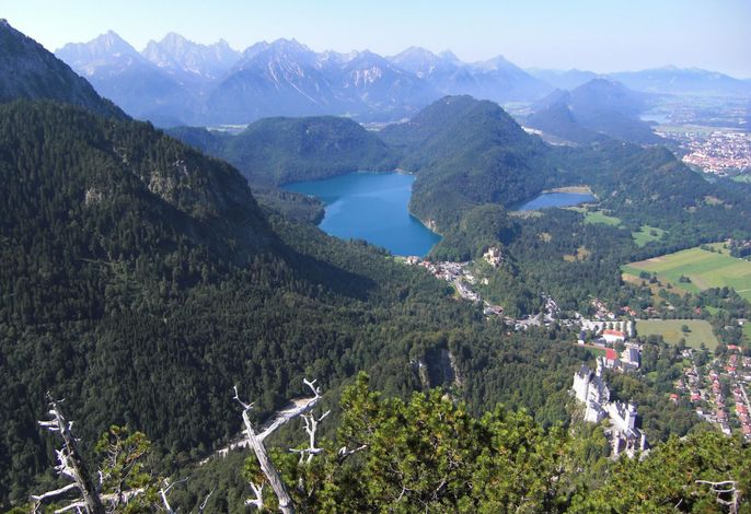 Bild 8