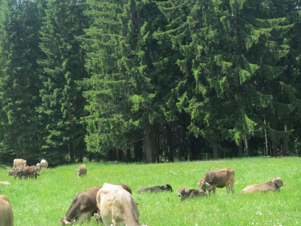 mit Hallenbad