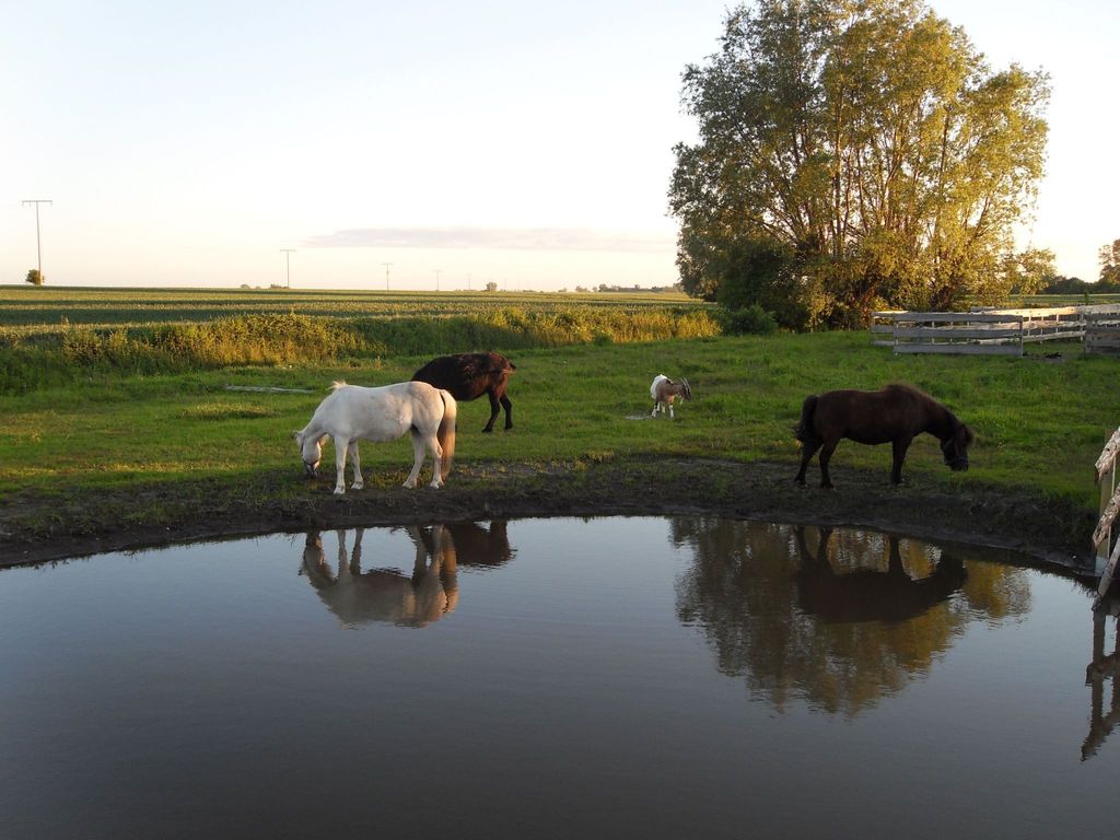 Horse Lake Ranch