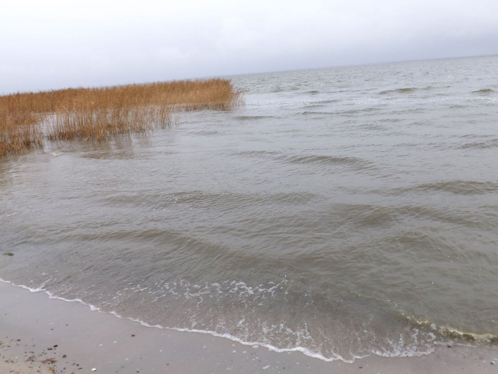 Haus Saaler Bodden