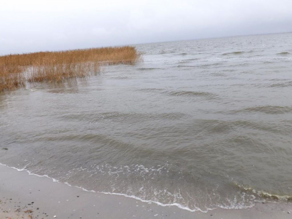 "Saaler Bodden"