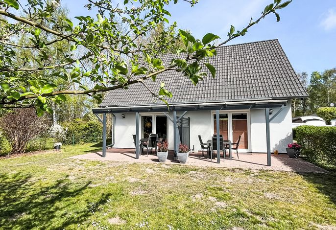 Möwennest + Muschelnest – Foto 1