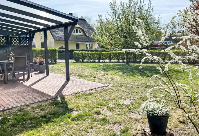 Möwennest + Muschelnest – Foto 3