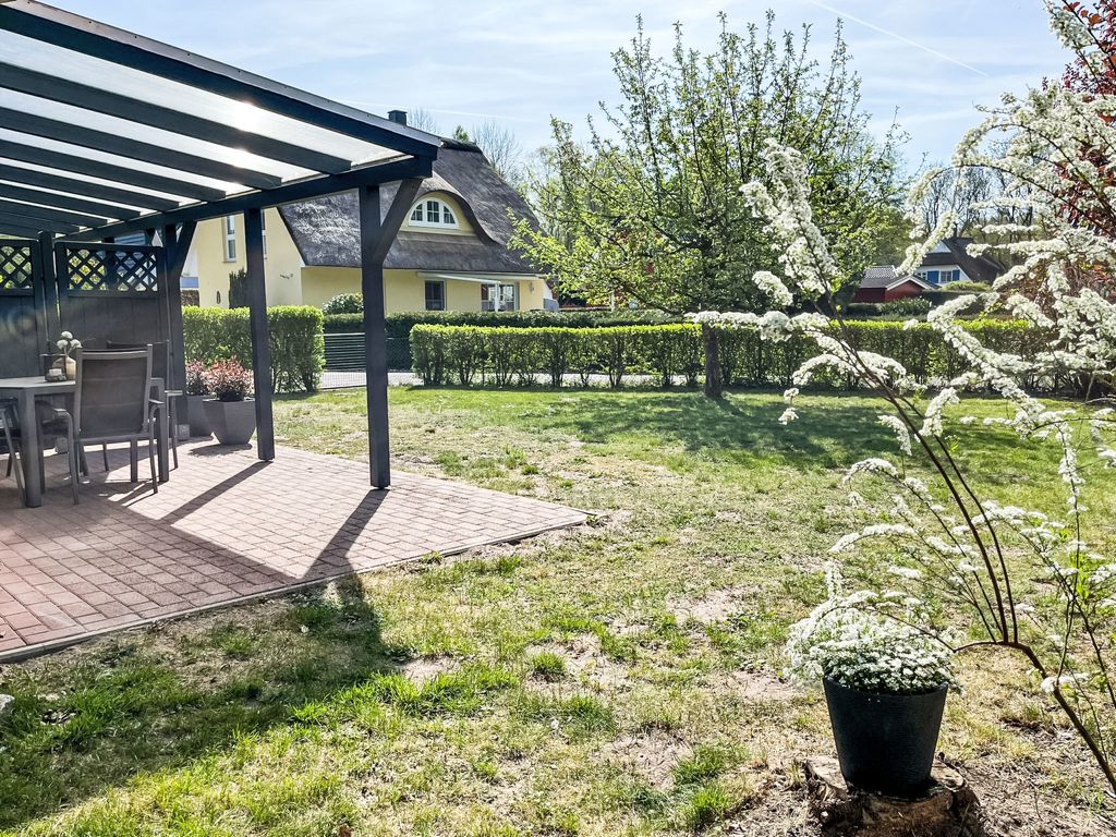 Möwennest + Muschelnest
