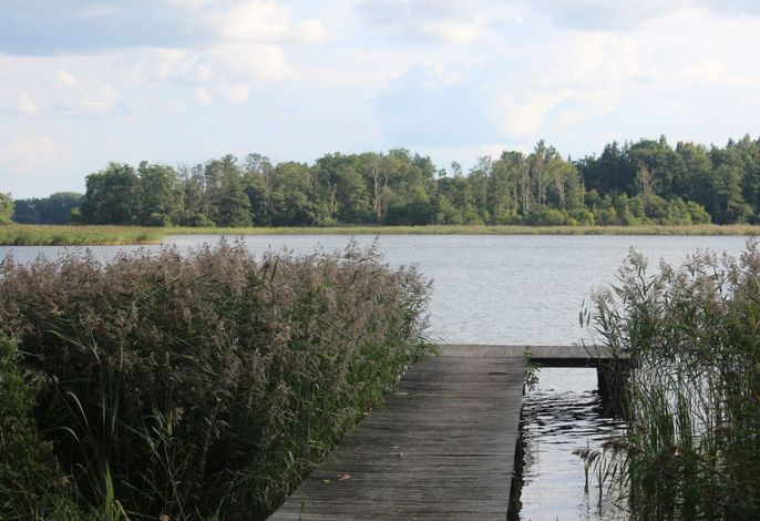 Bild 16