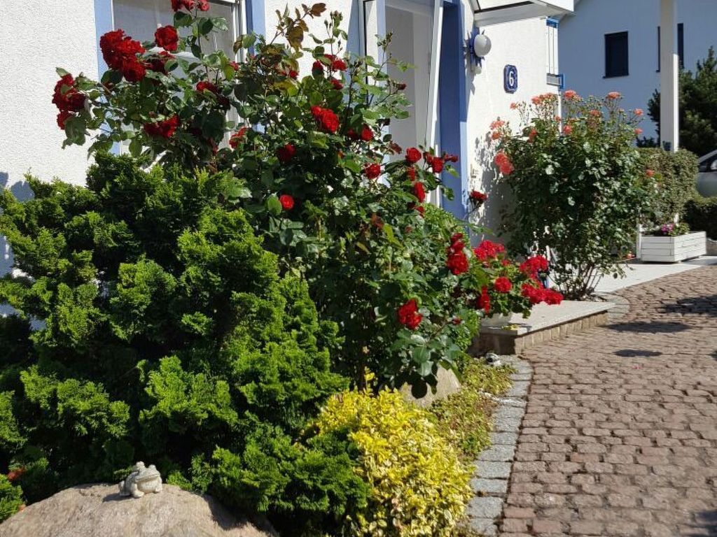 Froschhaus