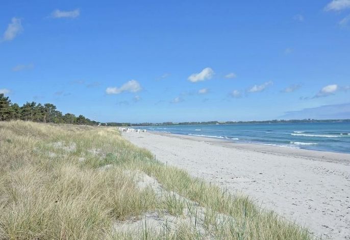 Strandgut – Foto 1