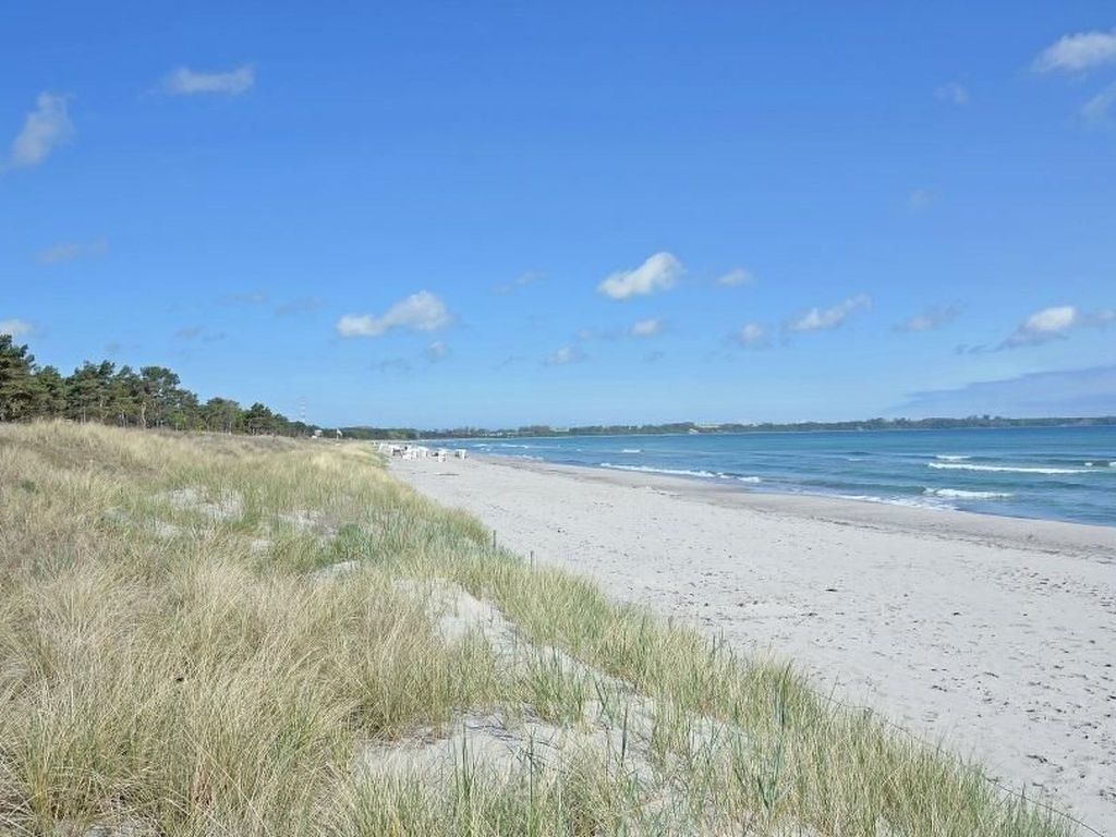 Strandgut