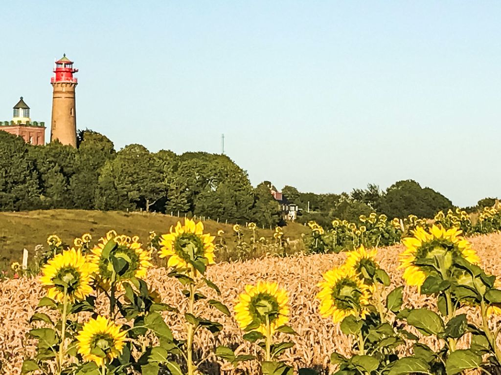 Strandhaus