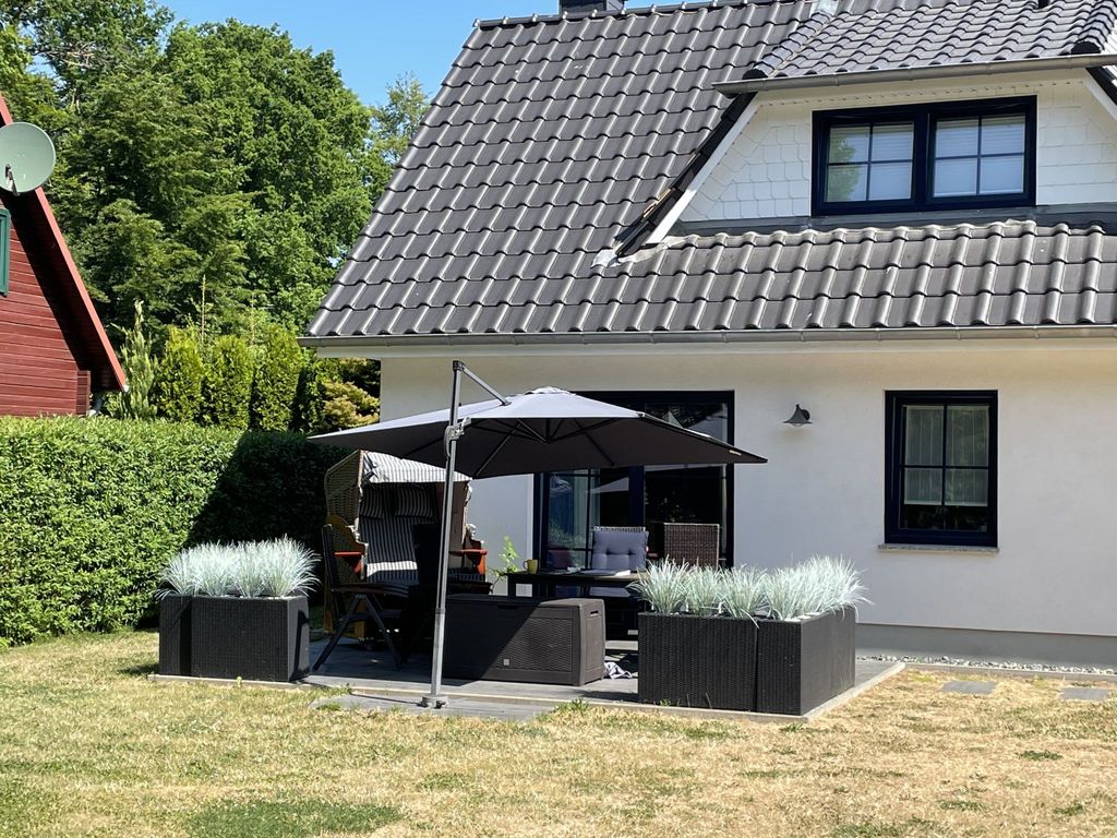 Kleine Möwe