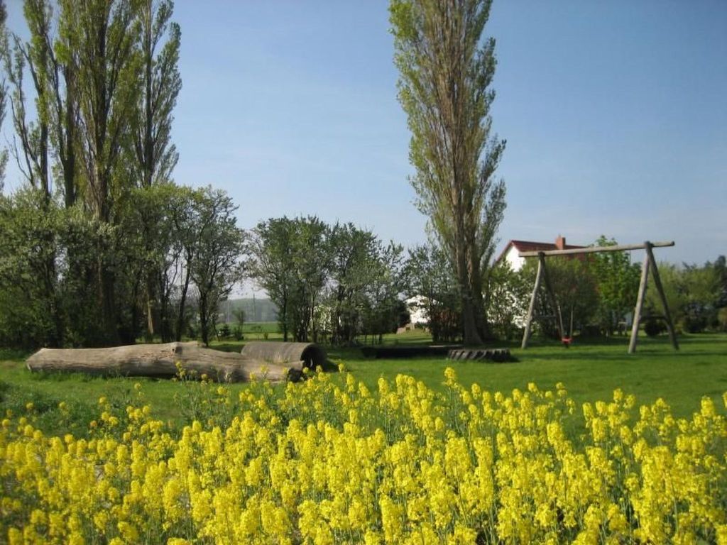 Gans in Ummanz-Lüßvitz