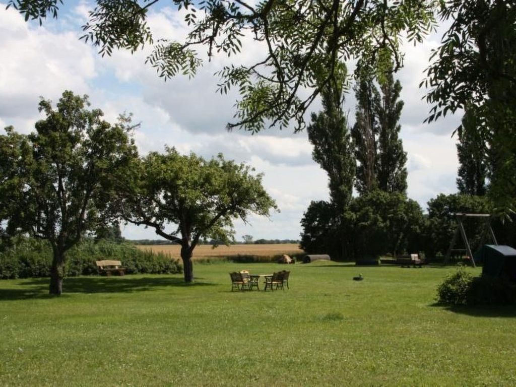 Möwe in Ummanz-Lüßvitz