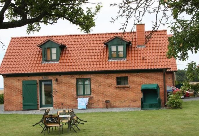 Kranich in Ummanz-Lüßvitz – Foto 1