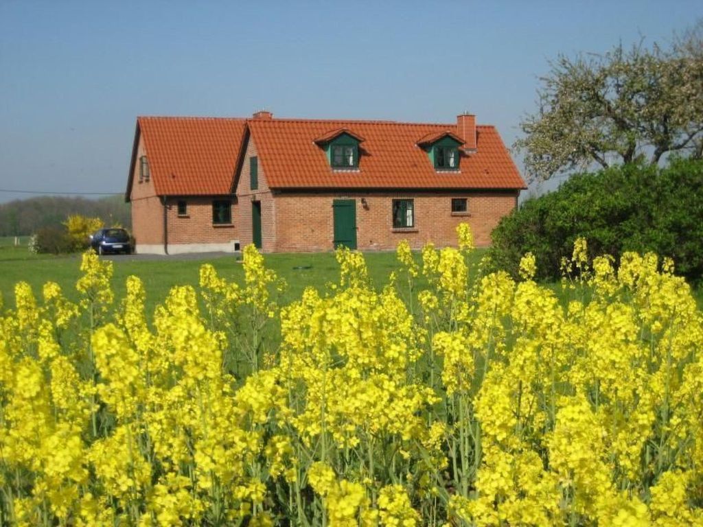 Kranich in Ummanz-Lüßvitz