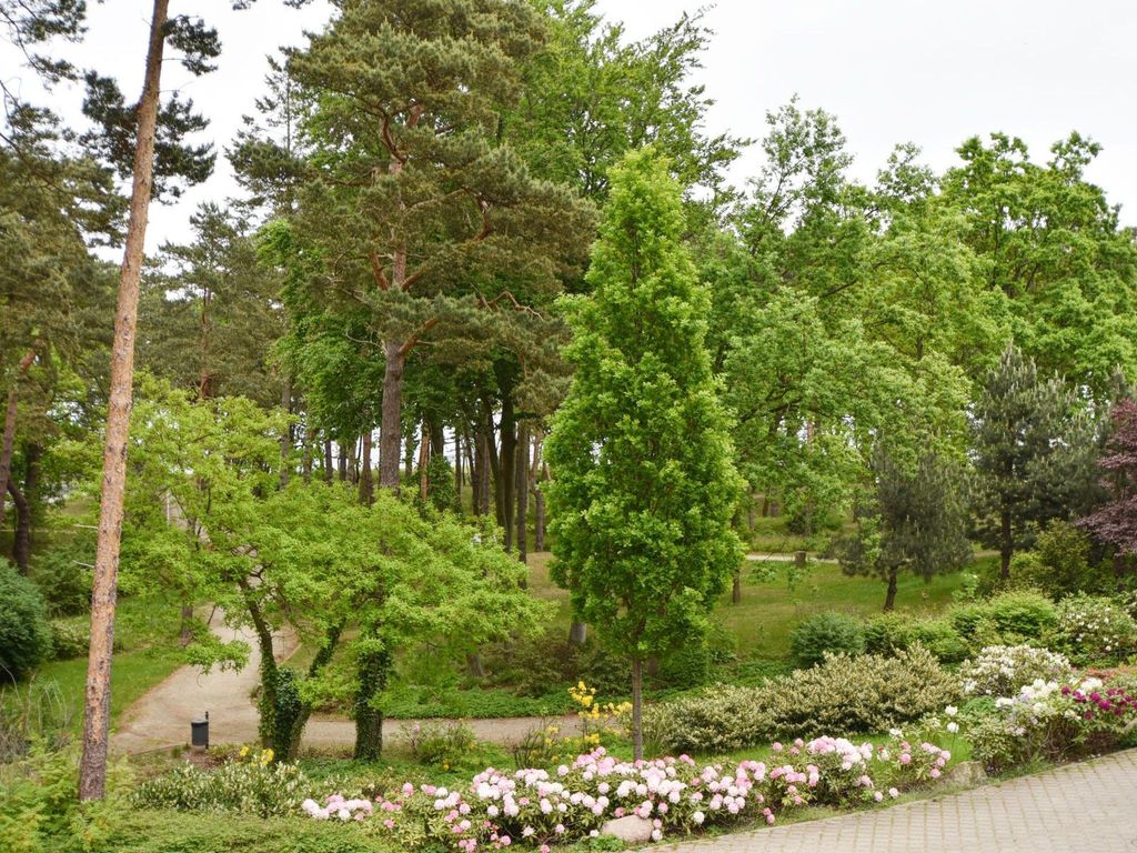 in Ostseebad Baabe