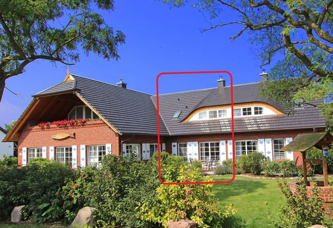 Tohus - Wigbold – Foto 1