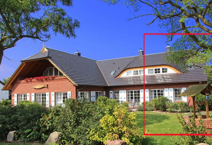 Tohus - Tamme – Foto 1