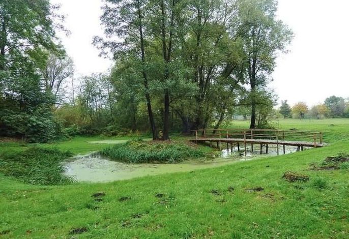 Bild 14