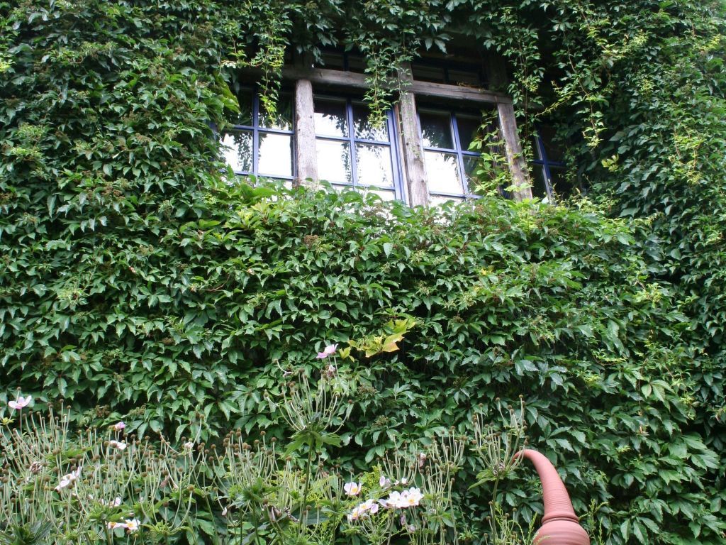 Tolles Appartement in Retschow
