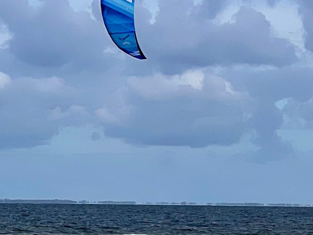 Stormy im Nauticum