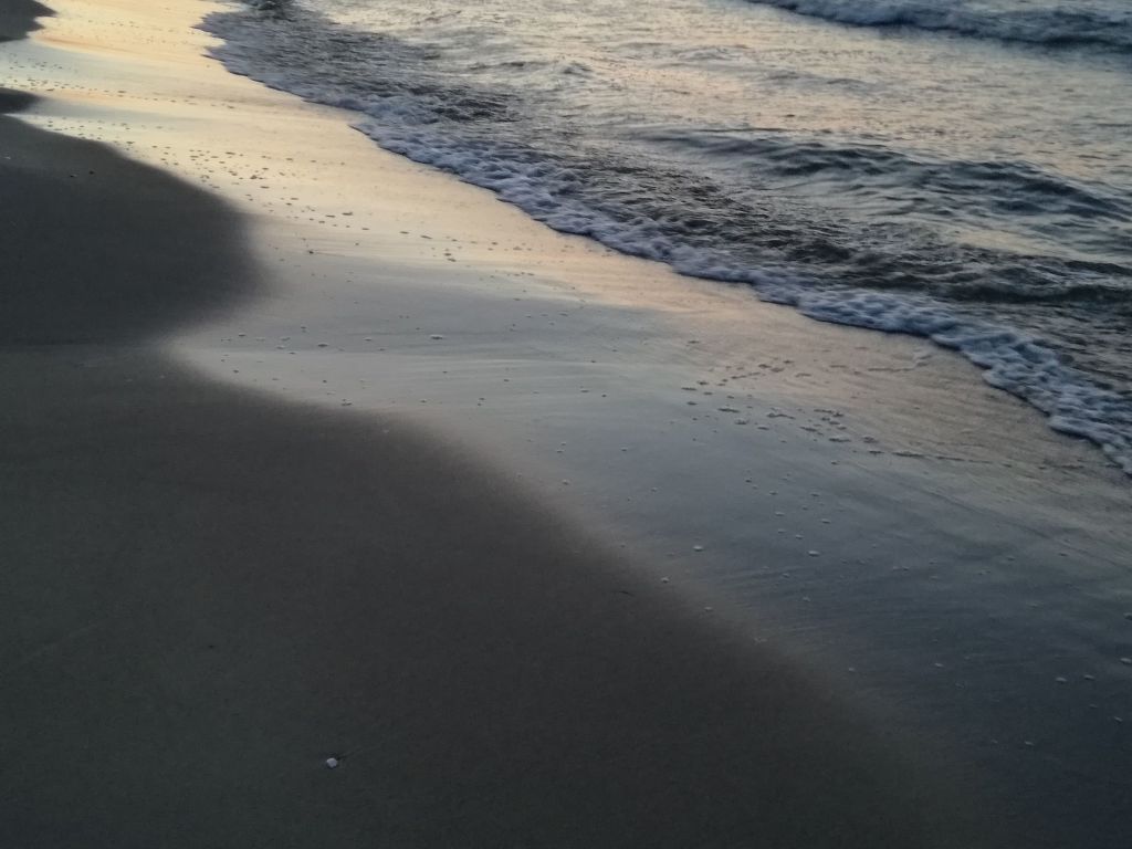 Strandnahe Fewo App. 1
