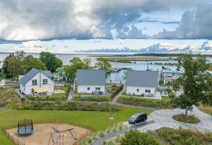 Seenixe – Foto 1