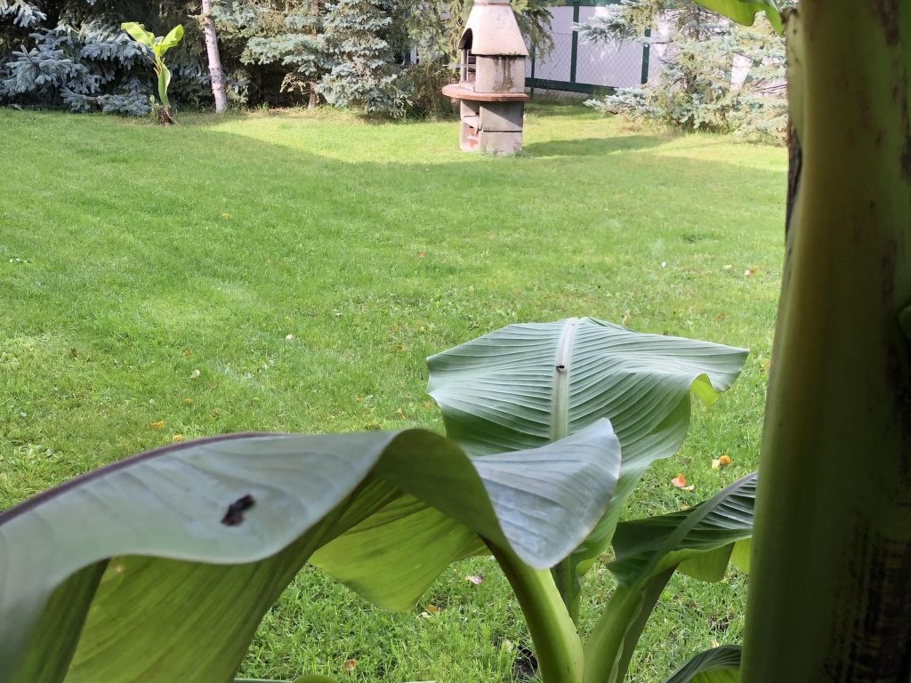 mit Garten, Grill und Terrasse