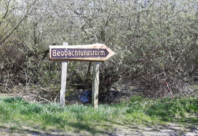 Bild 29