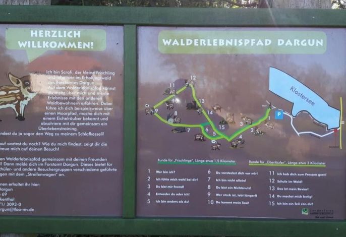 Bild 19