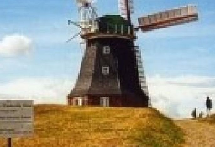 Bild 20