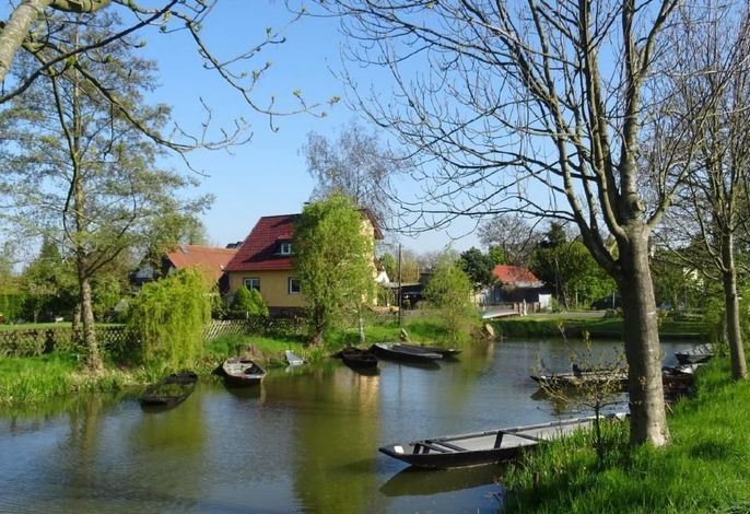 Paradies