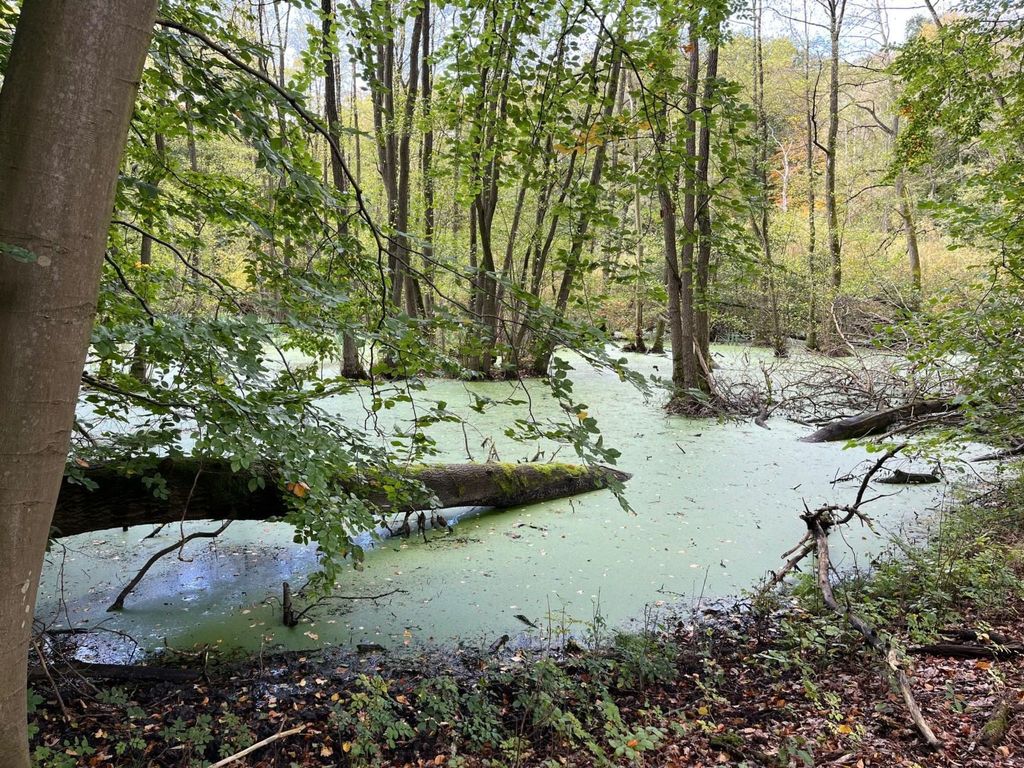 Landurlaub Mecklenburgische Seenplatte b. Waren