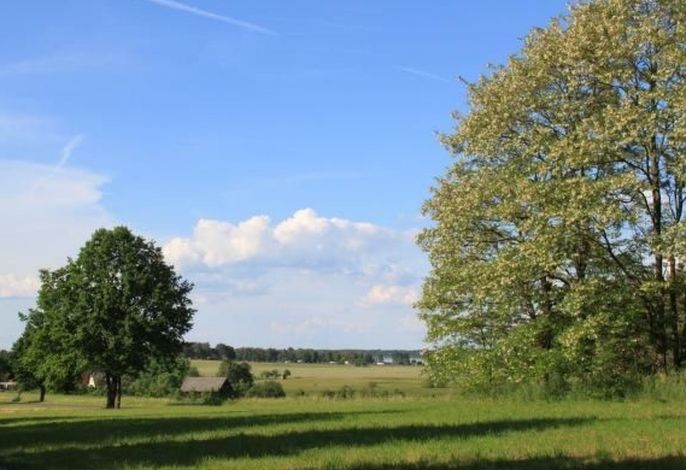 Haus am Feld 2