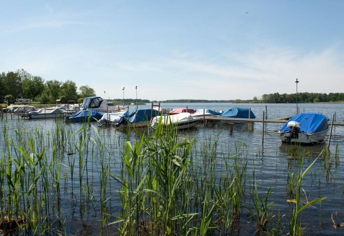 in Alt-Schadow mit Grill und Terrasse